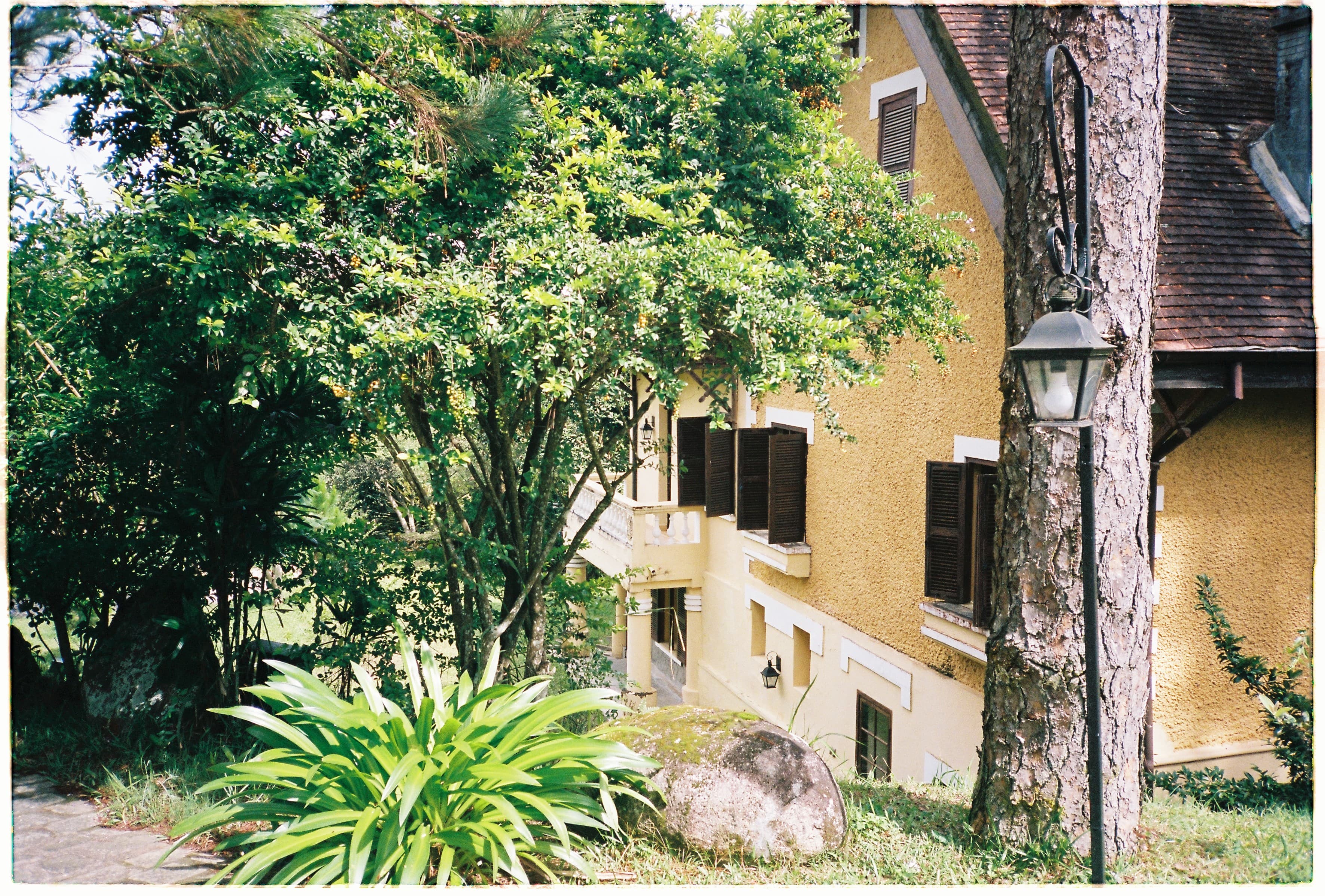 2D1N in Da Lat lykhsr