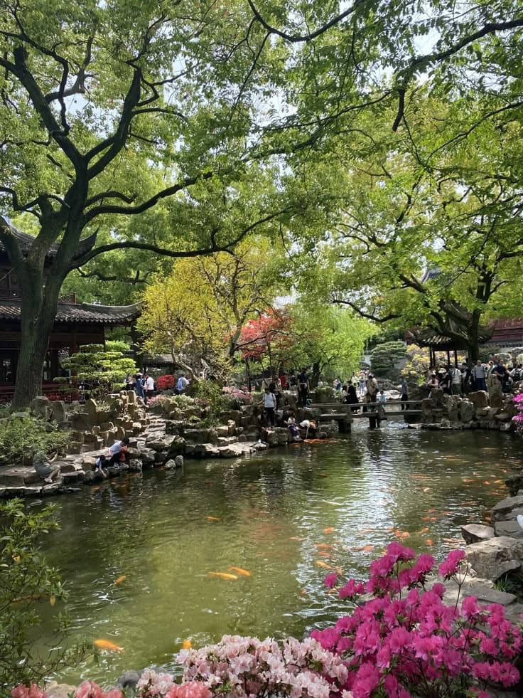 2 Days of Shanghai Underrated Spots oxytx3