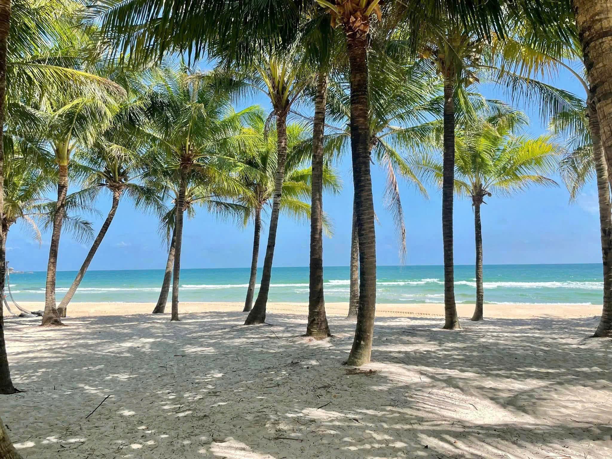 7 days in Paradise: A Complete Phu Quoc Travel Guide iioj00