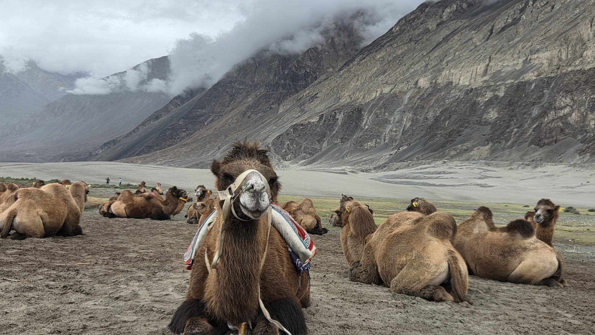7 Days in the Indian Himalayas - The Ladakh Route Everyone Wishes They Knew Before Going 3p8ri8