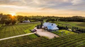 https://cdn.holicay.com/uploads/1765281688124-artwine.jpg