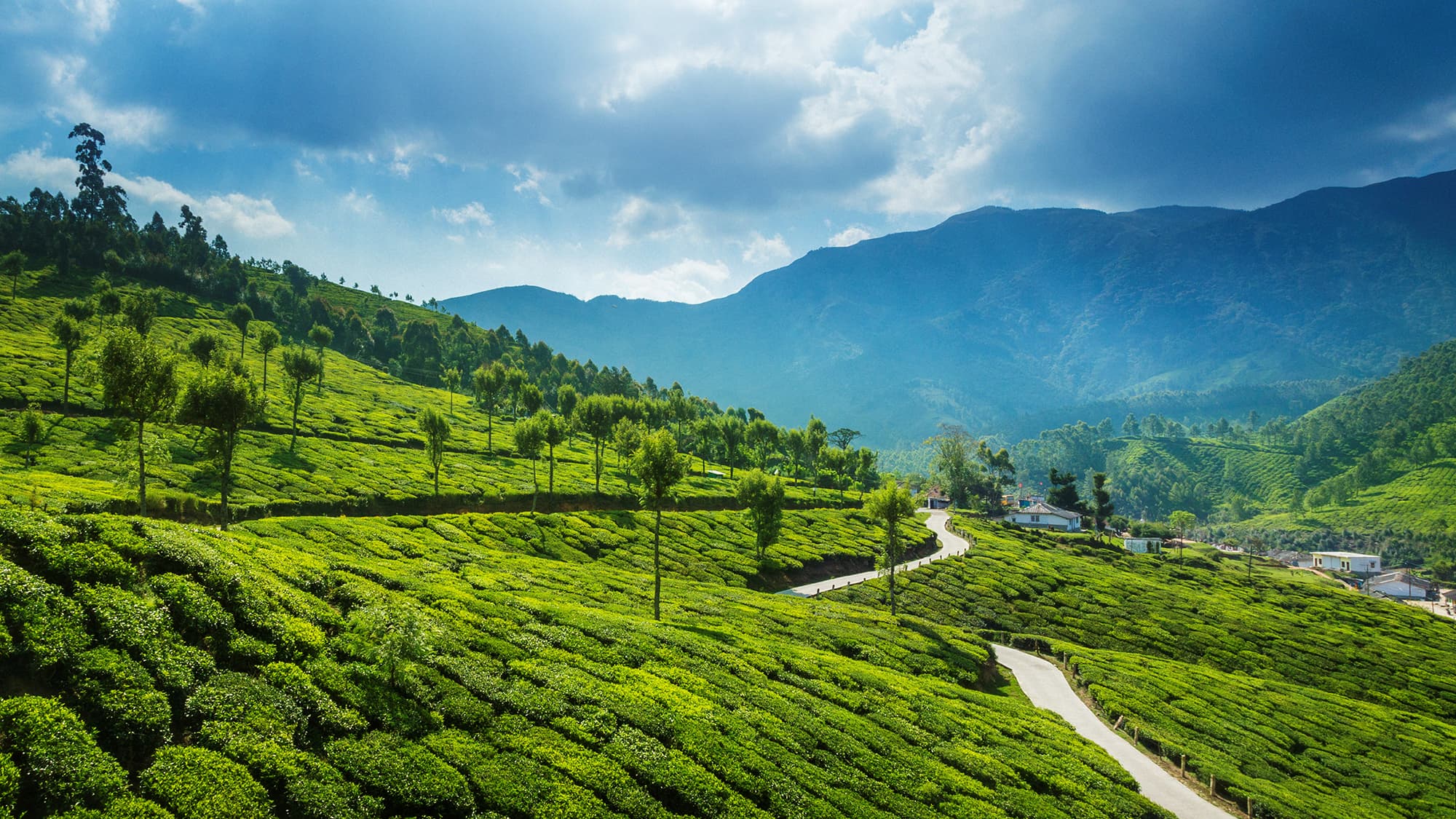 Places you HAVE to visit in Kerala, India f2sxyj