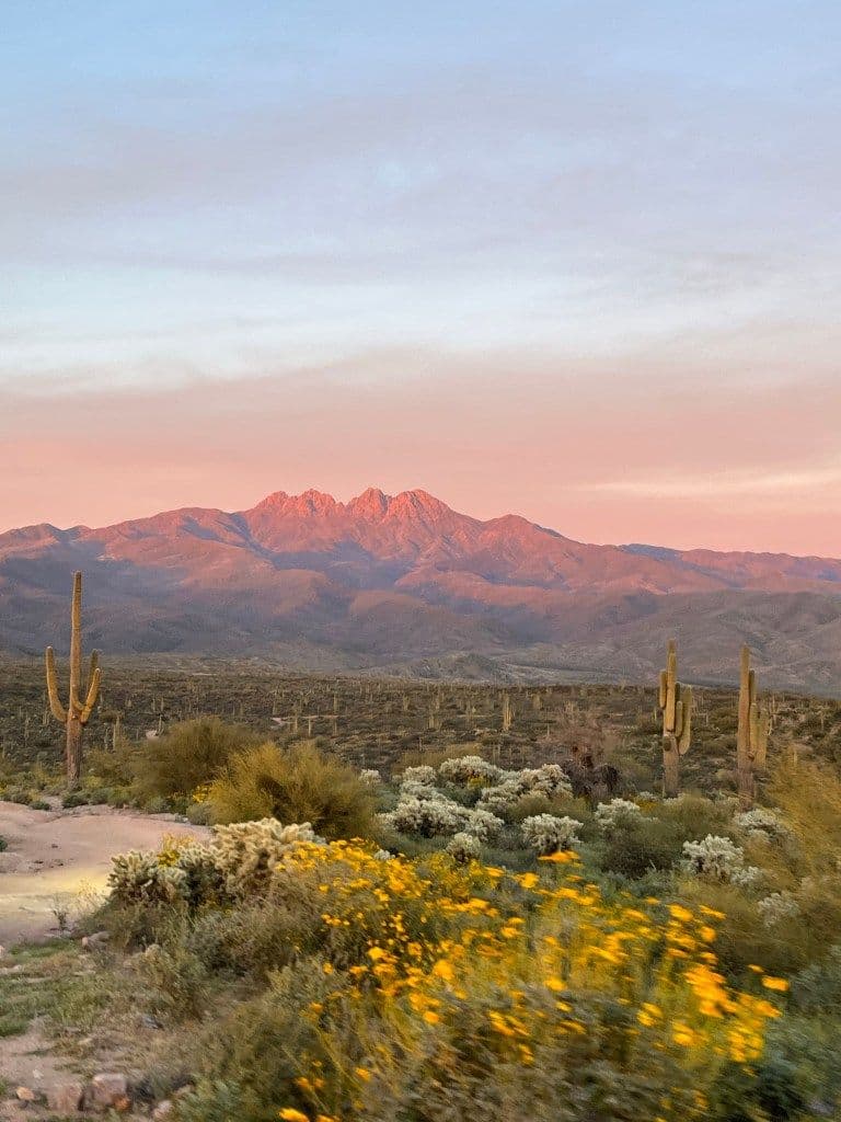 12 Must-Visit Restaurants and Bars in Phoenix 