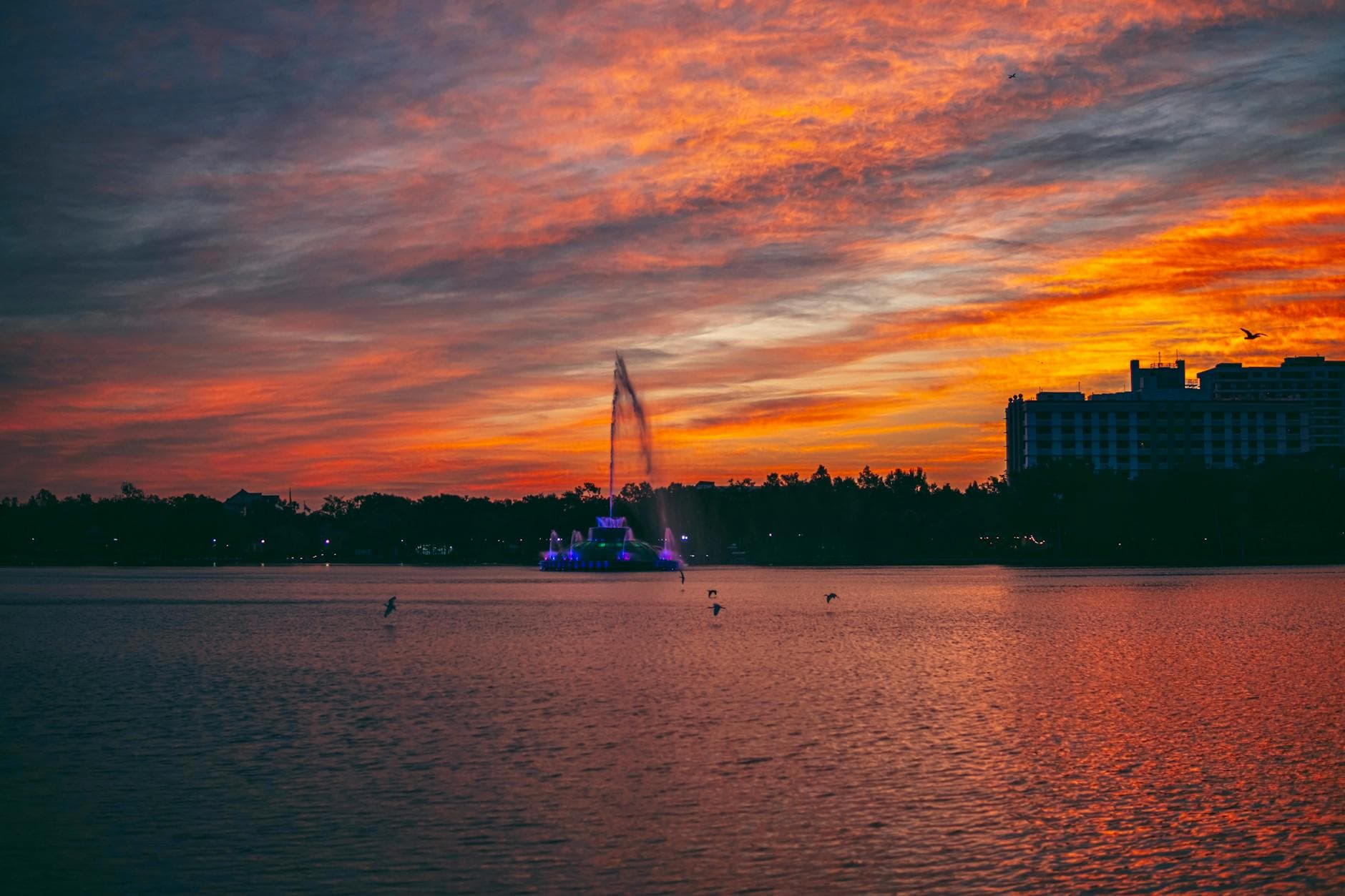 Top 20 Hidden Gems in Orlando for Honeymoon 0rlepk