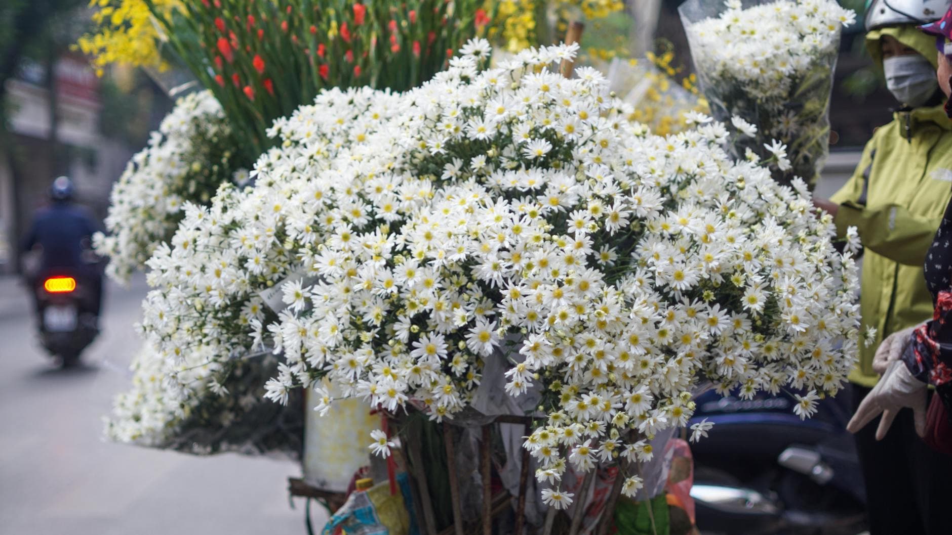 Top 20 Hidden Gems in Hanoi for Families 2d9xus
