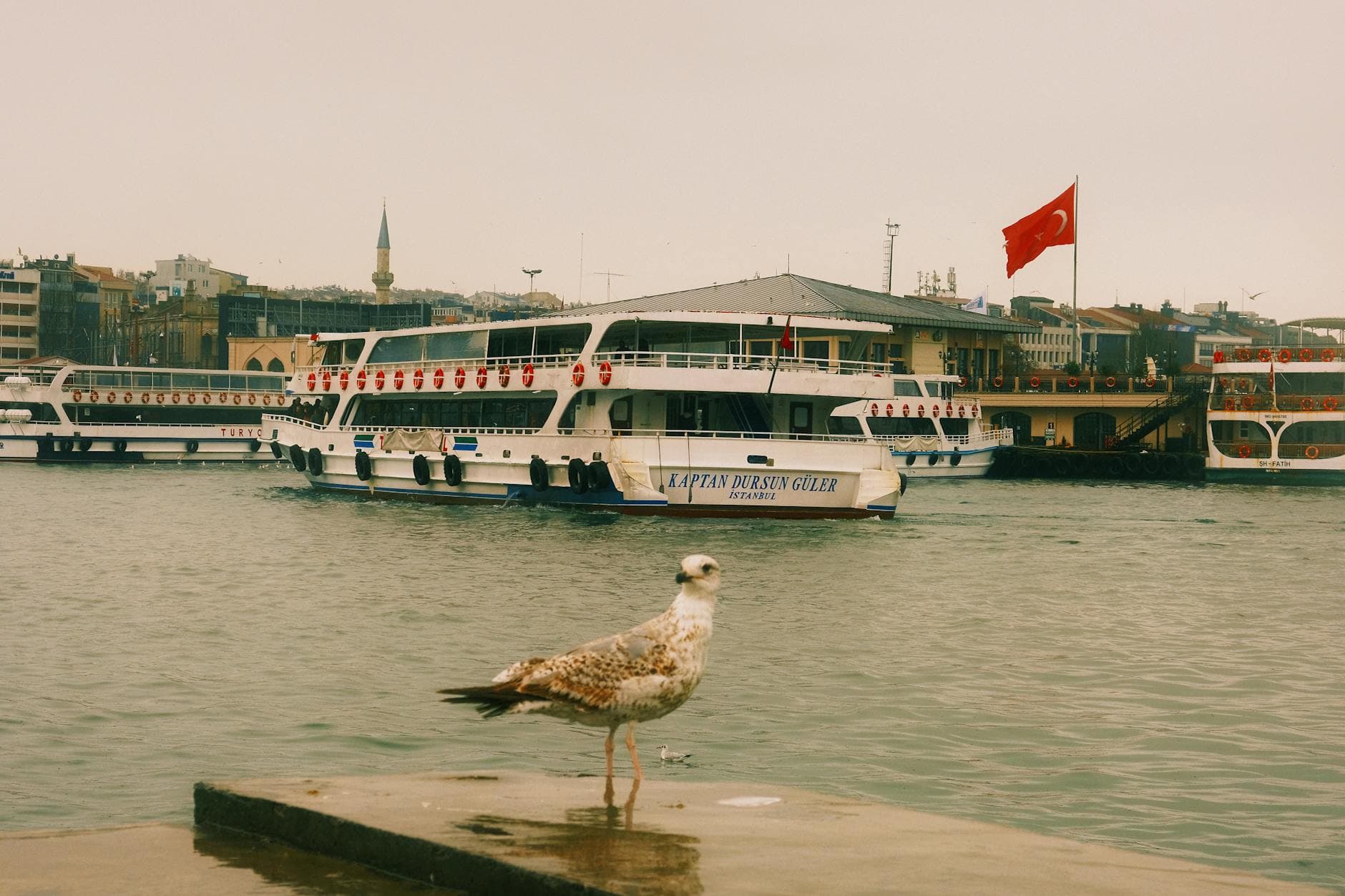 Top 20 Places to Stay in Istanbul for Honeymoon a509pn