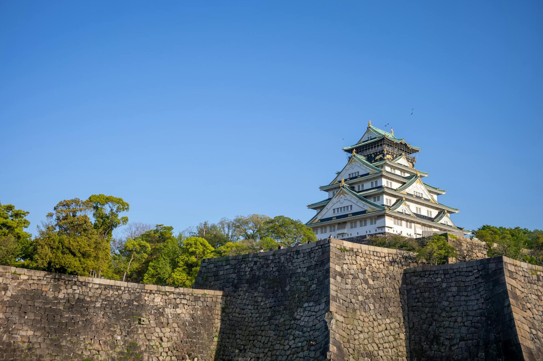 Top 20 Things to Do in Osaka for Friends qt5bsi