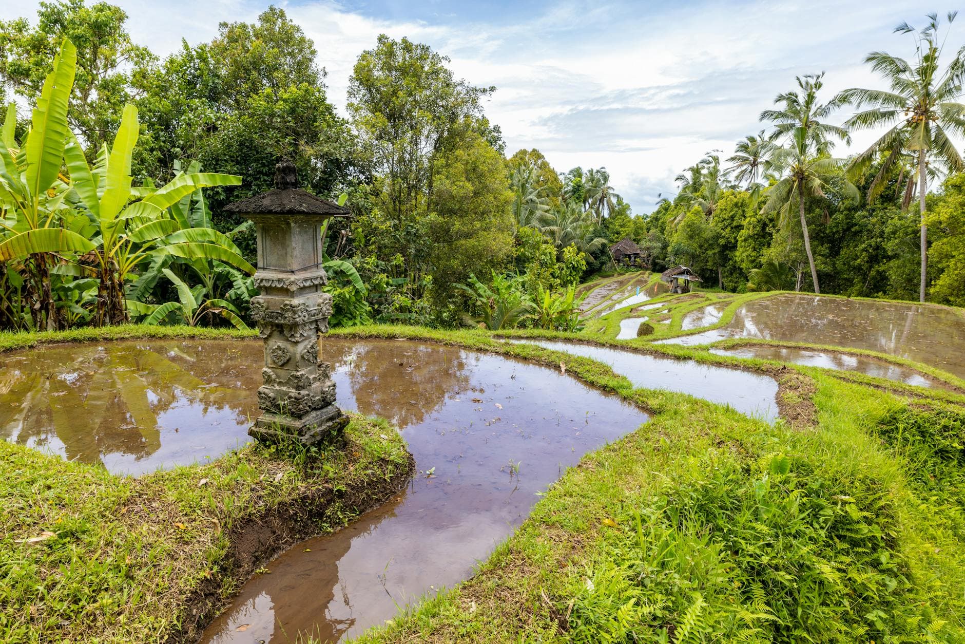 Top 20 Restaurants in Bali x0b6wy
