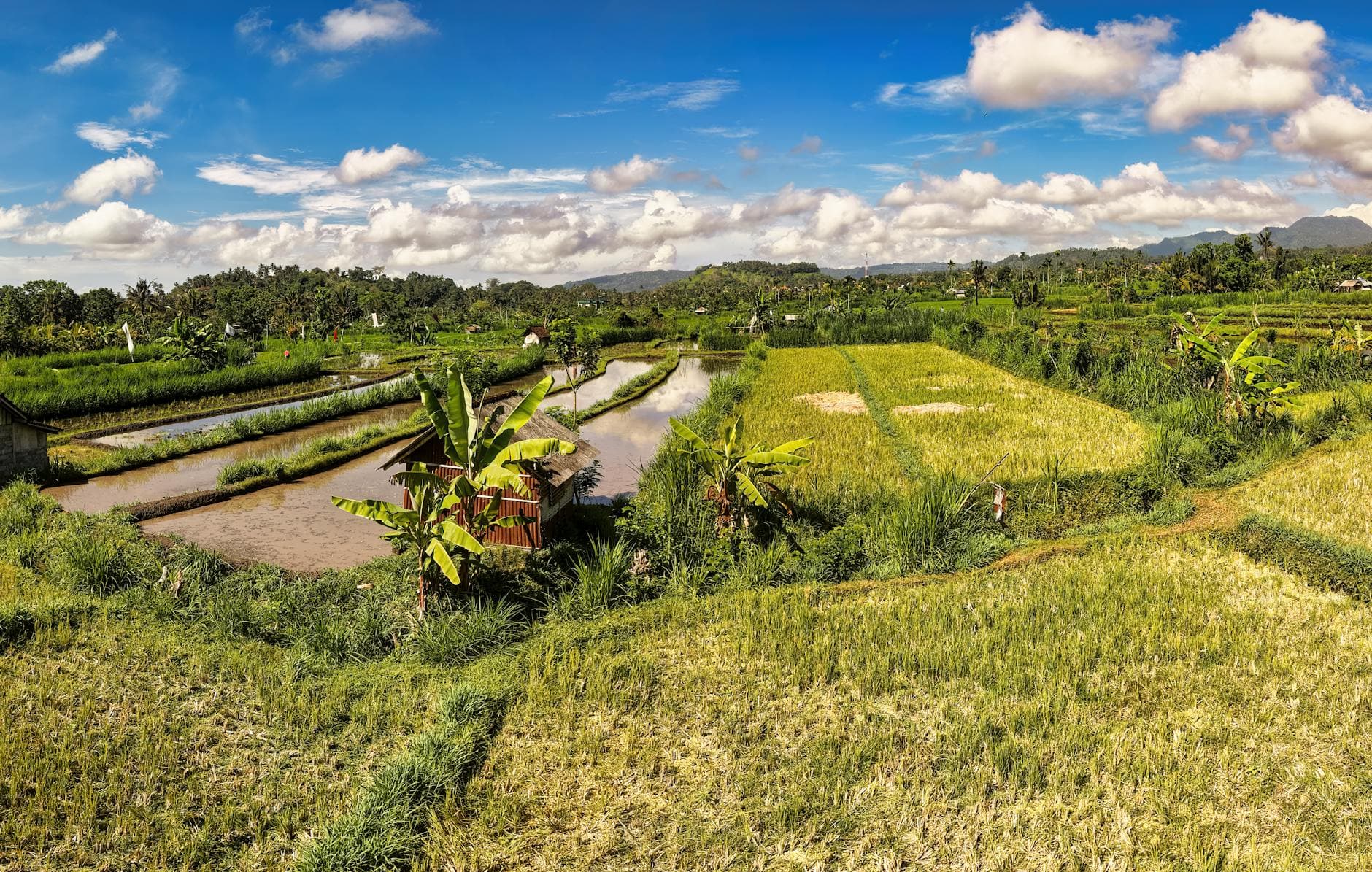 Top 20 Places to Stay in Bali for Honeymoon b9fsfj