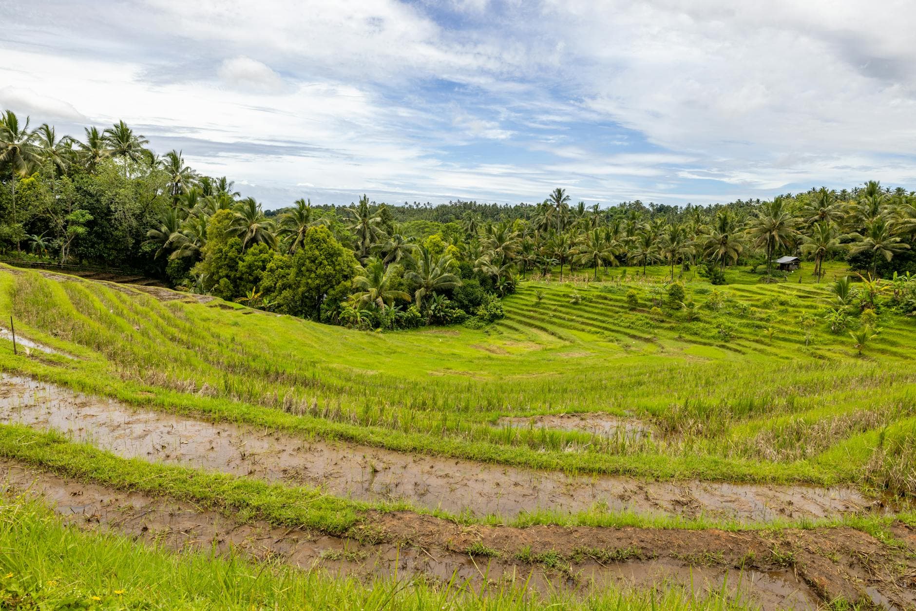 Top 20 Places to Stay in Bali for Parents i8n0wn