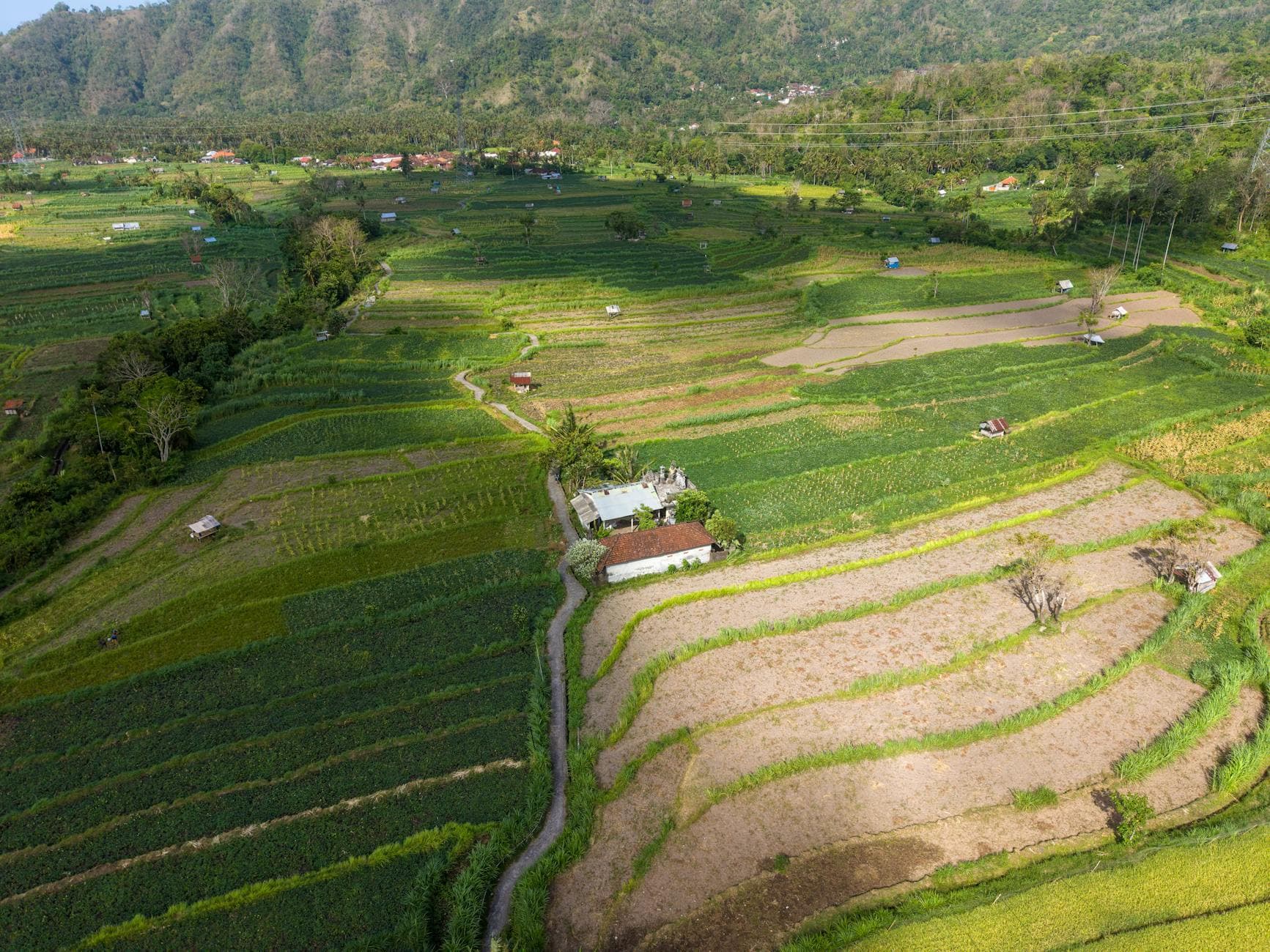 Top 20 Places to Stay in Bali for Families k18u2b