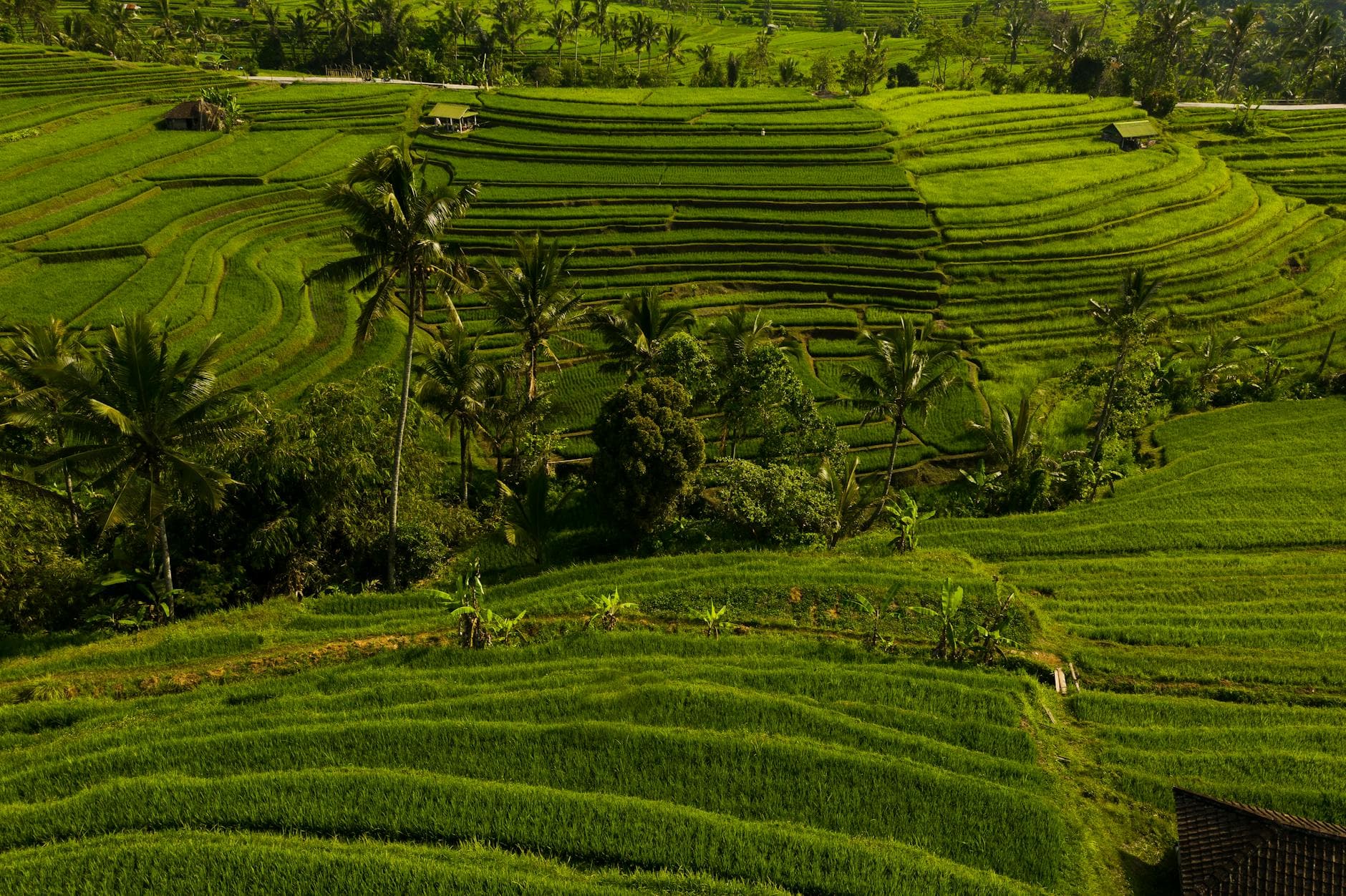 Top 20 Places to Stay in Bali for Couples agvf1v