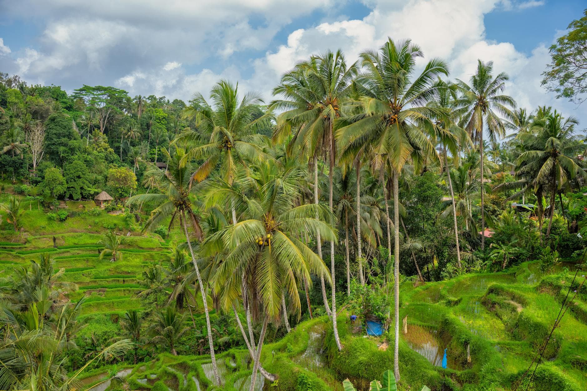 Top 20 Places to Stay in Bali for Solo Travelers y5jtza