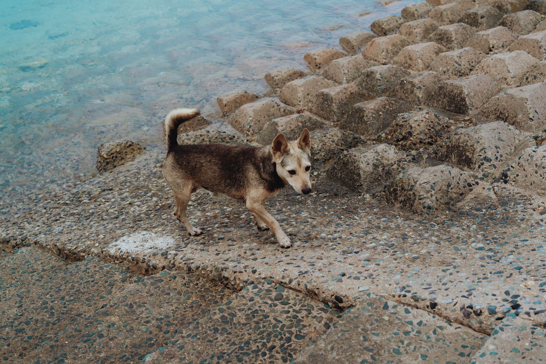 https://cdn.holicay.com/uploads/1781236945420-c962bc0f-897a-4beb-adf1-f279cec5fbf3-okinawa-3.jpg