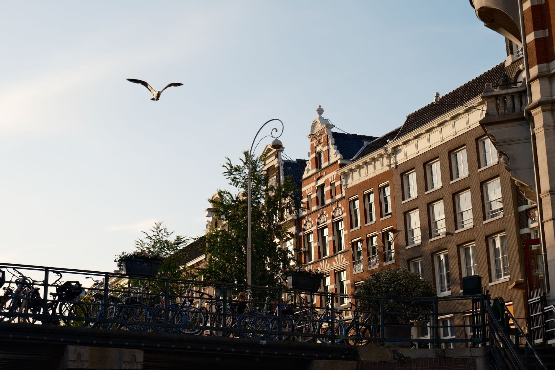 https://cdn.holicay.com/uploads/1782808949888-357573ab-dfd9-4c7f-953d-0180b848c70a-amsterdam-2.jpg