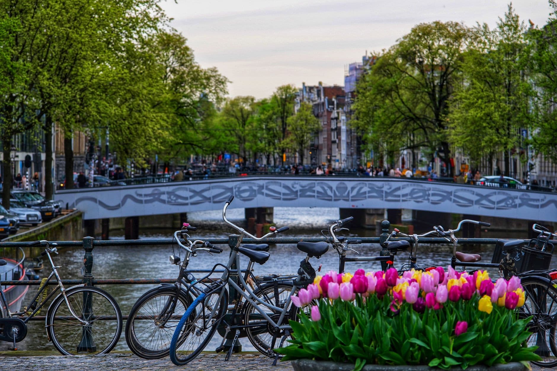 https://cdn.holicay.com/uploads/1782809915485-c5bded3c-2fa0-4c4d-9710-f0dd1bcb1c69-amsterdam-2.jpg